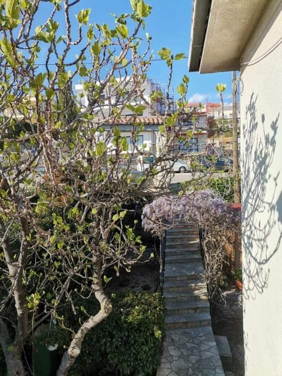 Guest House Sunce Novi Vinodolski Exteriér fotografie